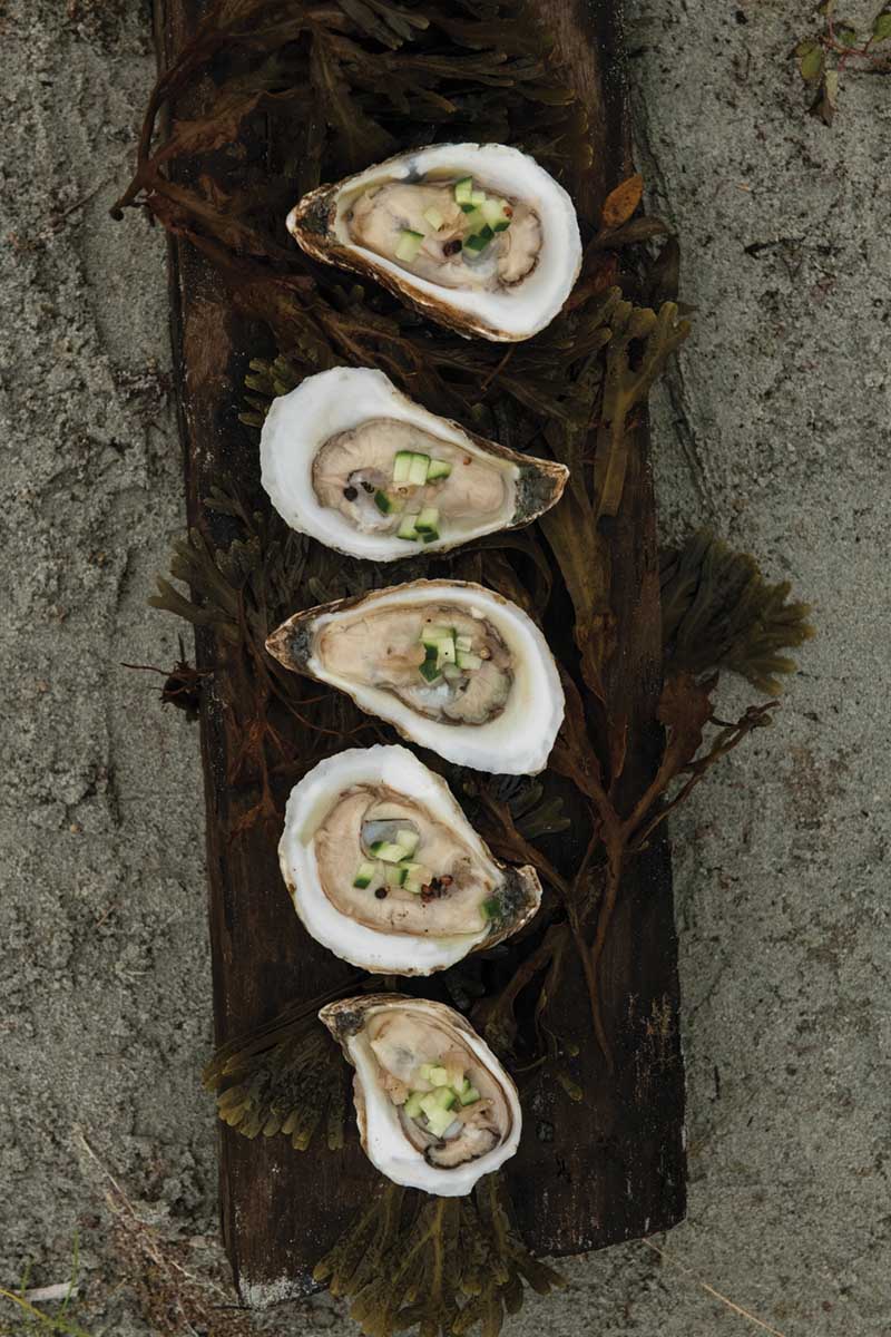 Fresh Oysters with Cucumber Mignonette
