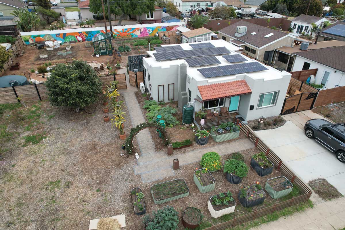 Epic Homesteading: How to Live Sustainably in Urban Spaces