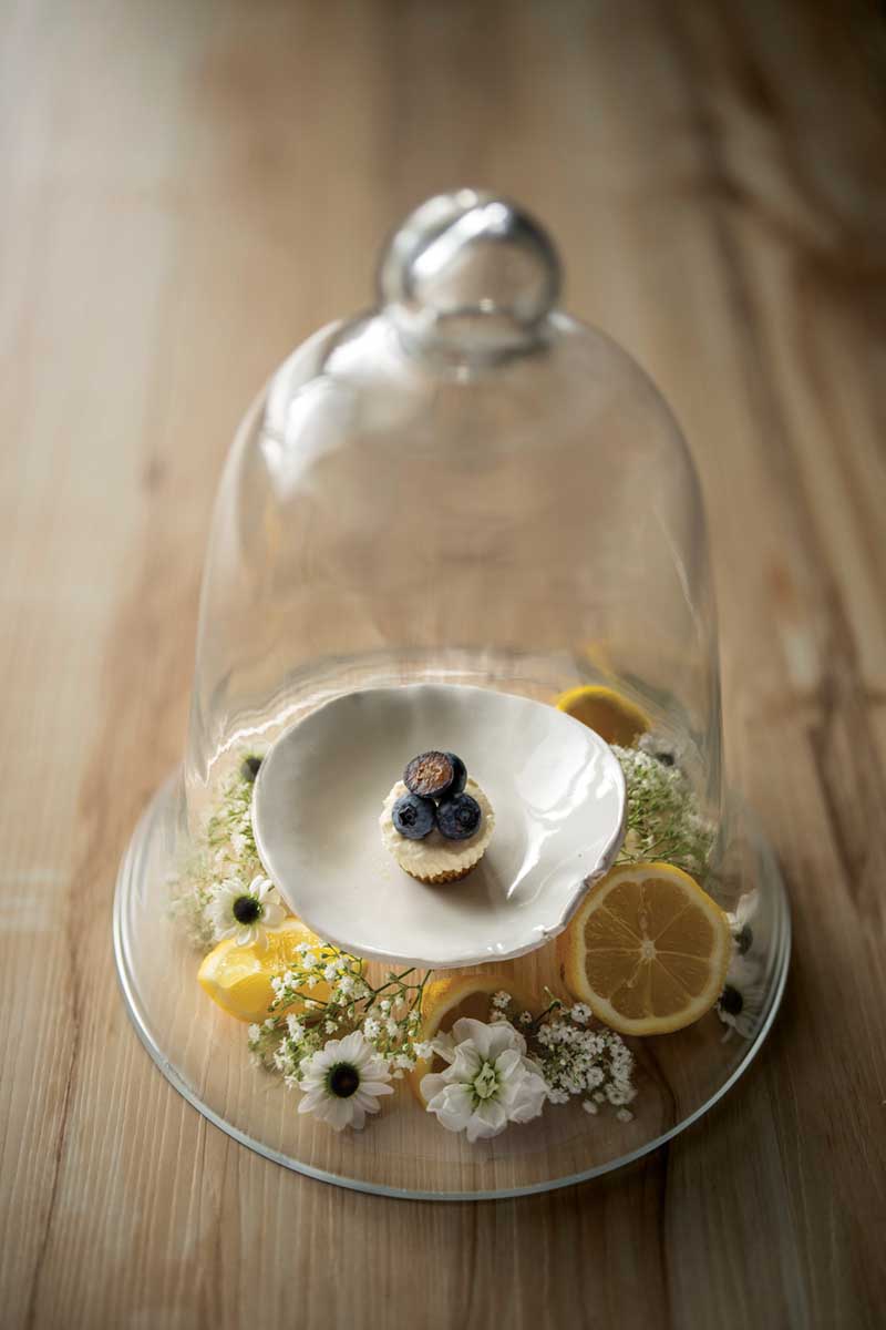 Mini Lemon Yogurt Cheesecakes