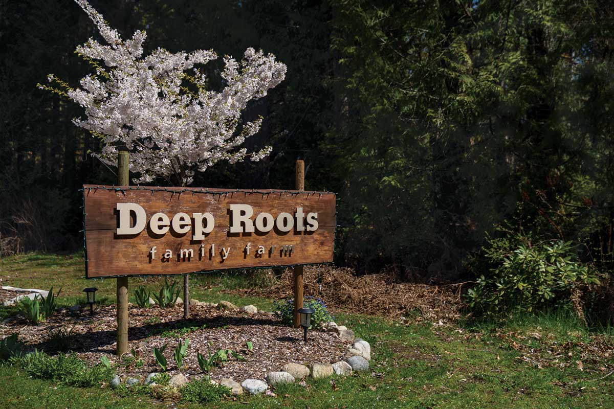 Cultivating Sustainability