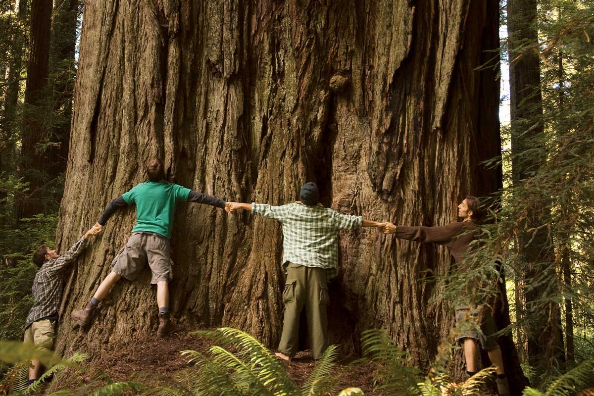 Why Gratitude Matters