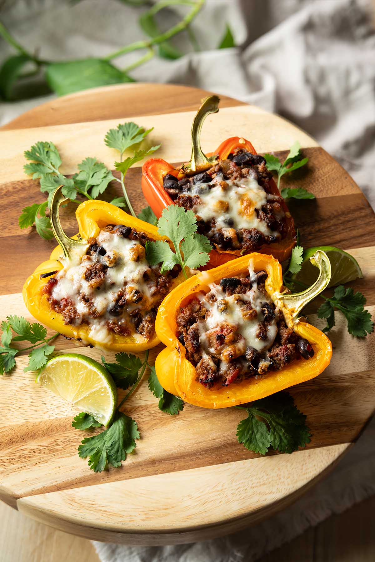 Bison and Black Bean Stuffed Peppers