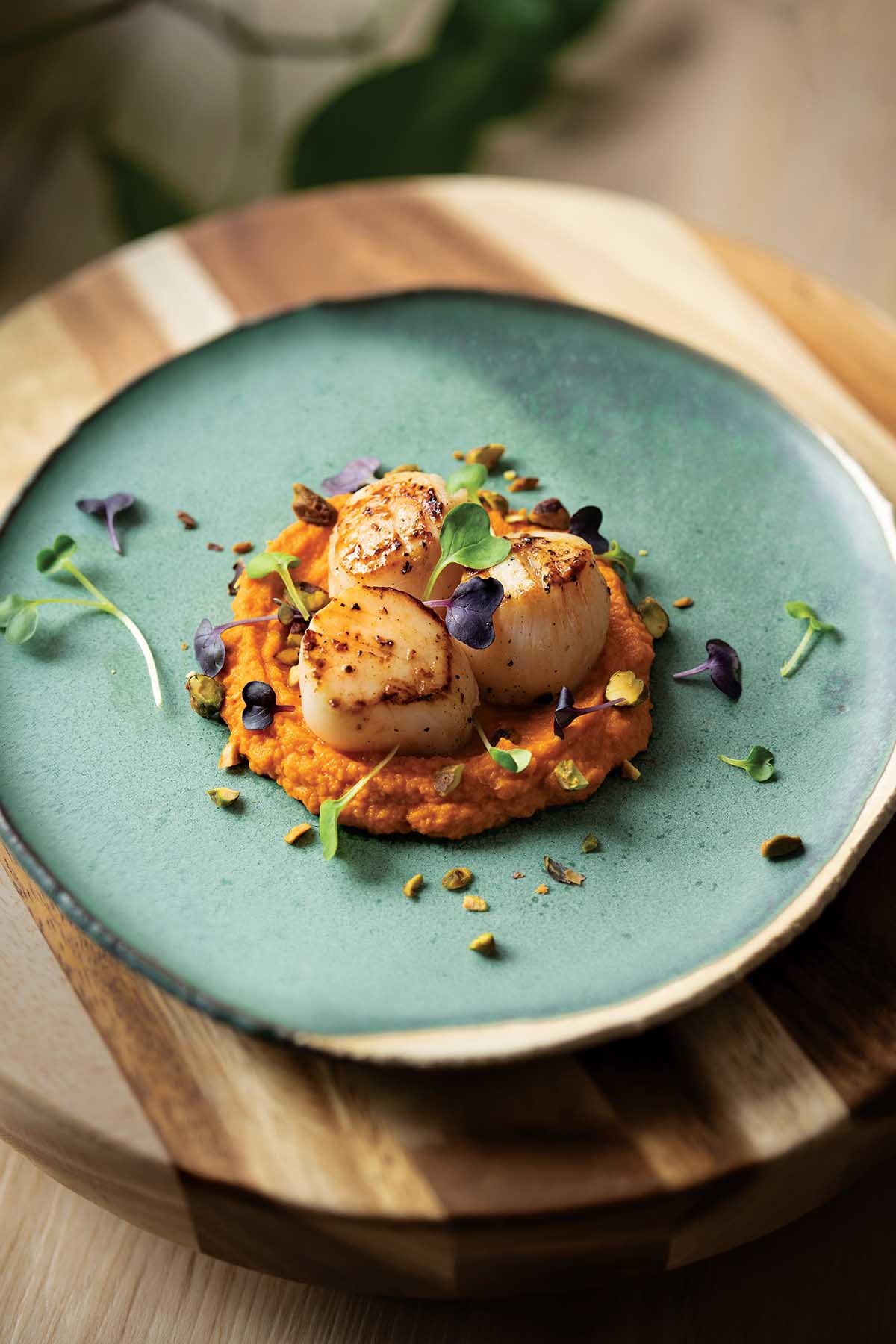 Seared Sea Scallops with Cashew Butter Carrot Purée