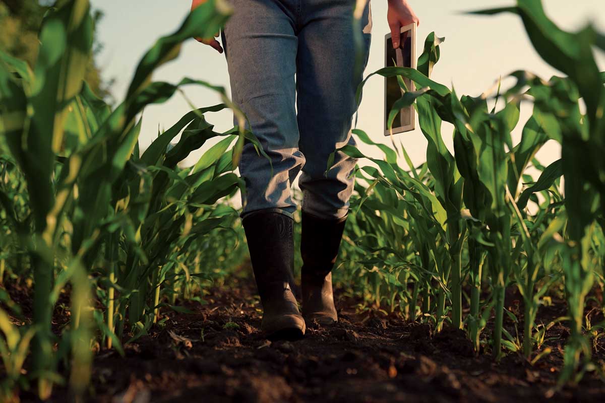 AI’s Addiction to Energy