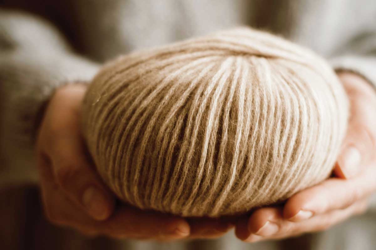 A Captivating Yarn